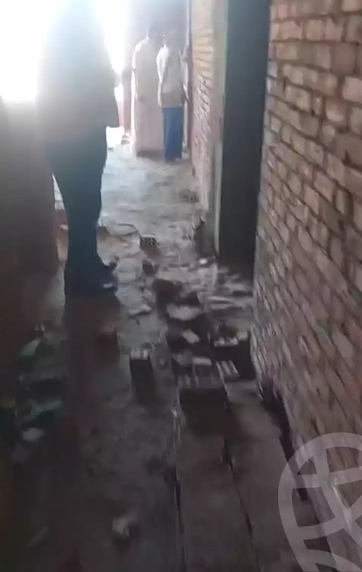 https://aqarmap.com.eg/en/listing/6317363-for-sale-cairo-ain-shams