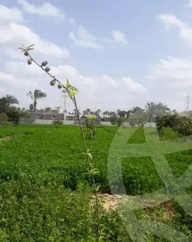 https://aqarmap.com.eg/ar/listing/6323841-for-sale-ismailia-ismailia-city-ismailia-city