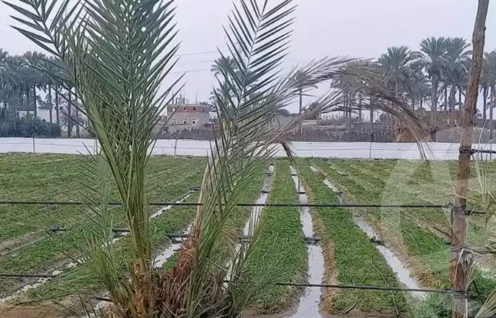 https://aqarmap.com.eg/ar/listing/6323841-for-sale-ismailia-ismailia-city-ismailia-city