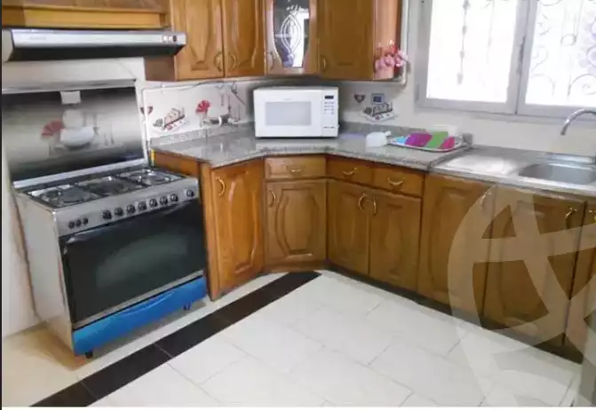https://aqarmap.com.eg/en/listing/6324228-for-rent-cairo-al-zamalek