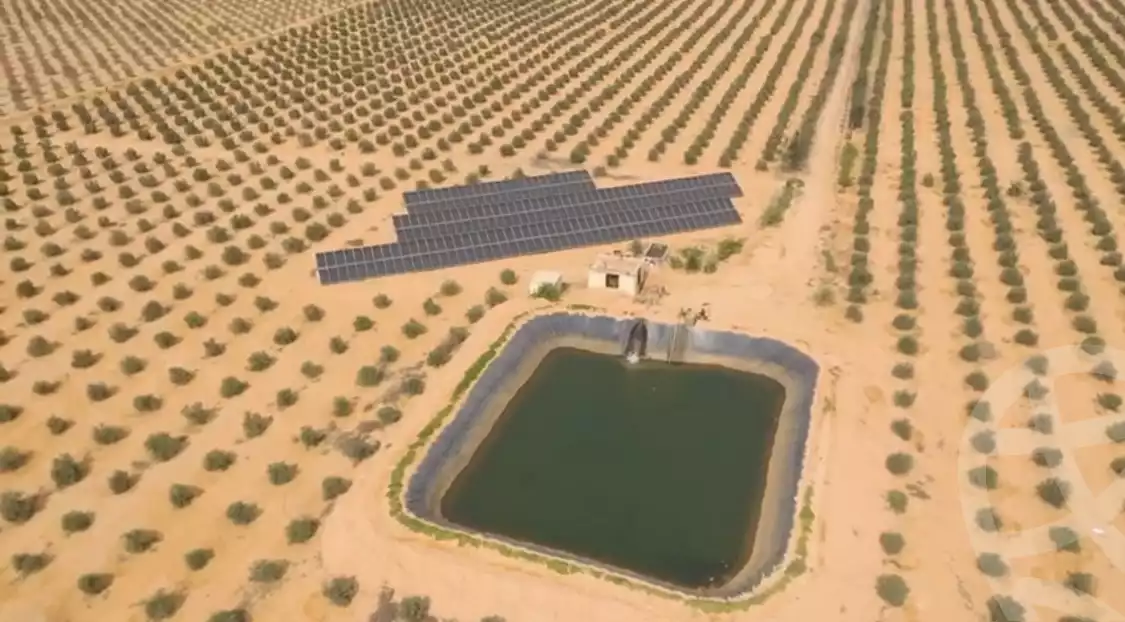 https://aqarmap.com.eg/ar/listing/6329468-for-sale-beheira-wadi-el-natrun