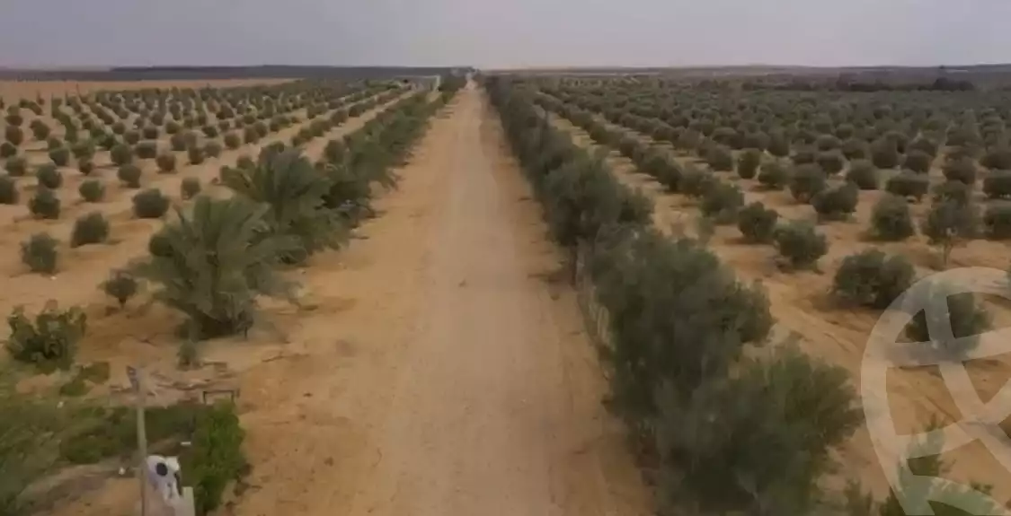 https://aqarmap.com.eg/ar/listing/6329468-for-sale-beheira-wadi-el-natrun