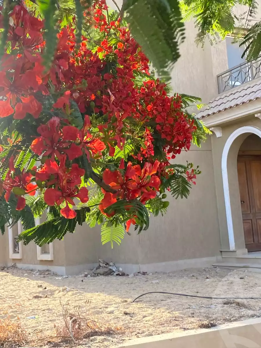 https://aqarmap.com.eg/ar/listing/6331337-for-sale-cairo-6th-of-october-compounds-nyoum-october-arab-developmentt