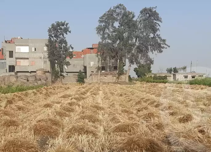 https://aqarmap.com.eg/ar/listing/6333381-for-sale-dakahlia-mansoura-met-el-sarem
