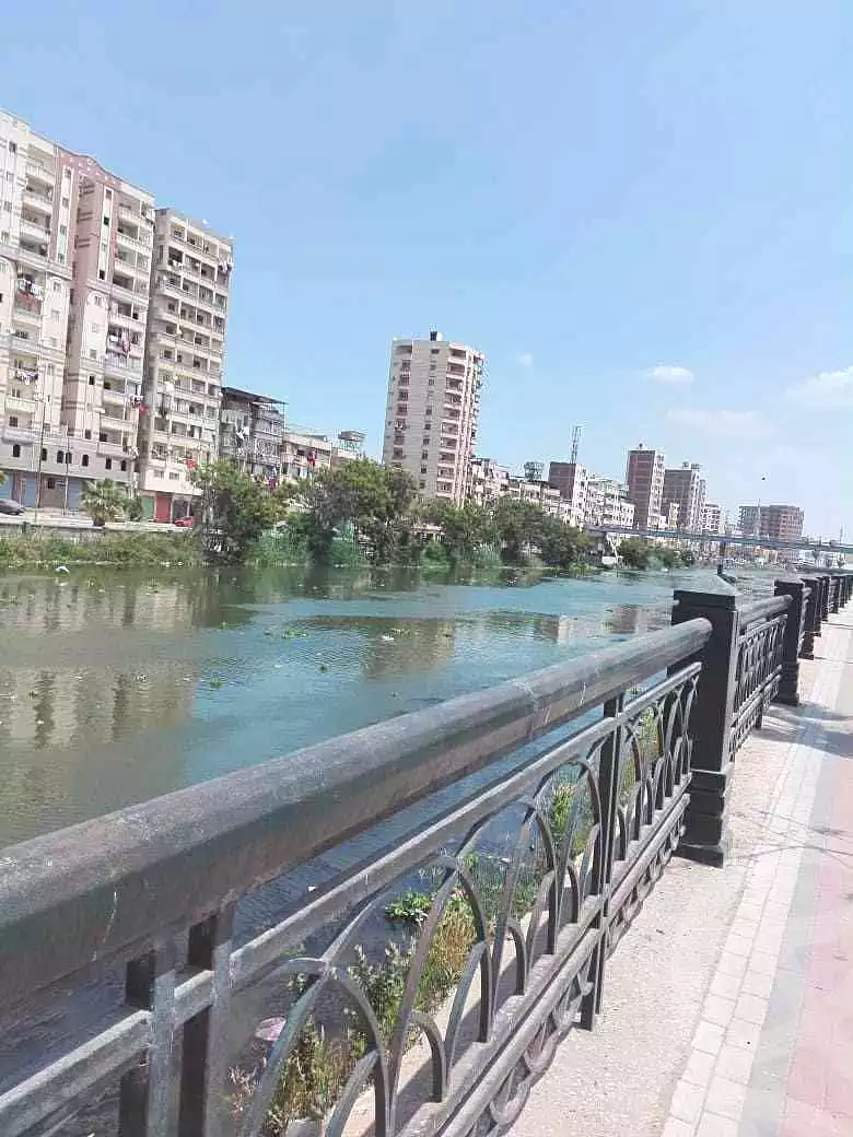 https://aqarmap.com.eg/en/listing/6334083-for-sale-beheira-damanhour