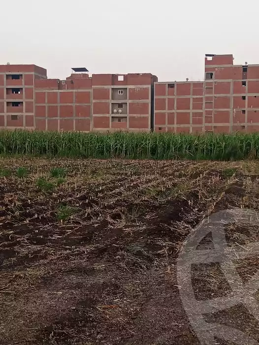 https://aqarmap.com.eg/en/listing/6345053-for-sale-gharbia-tanta-tanta-city-kafr-essam-rd