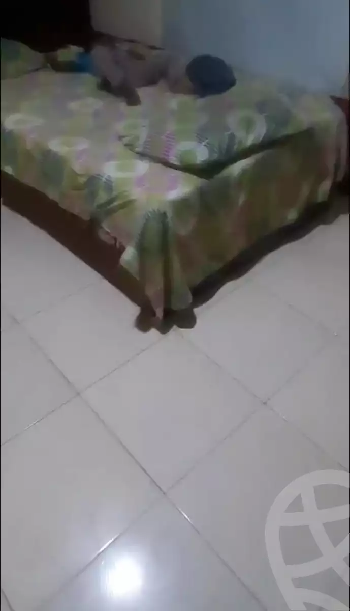 https://aqarmap.com.eg/en/listing/6345203-for-sale-cairo-faisal-el-matbeaa-nabeel-taha-st