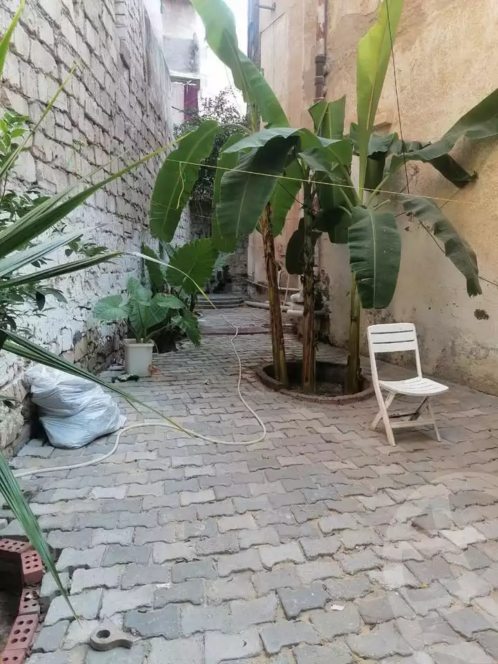 https://aqarmap.com.eg/en/listing/6348638-for-sale-alexandria-l-jmy-lbytsh