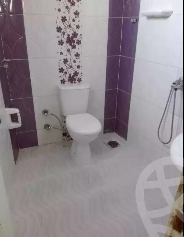 https://aqarmap.com.eg/ar/listing/6351876-for-sale-beheira-damanhour