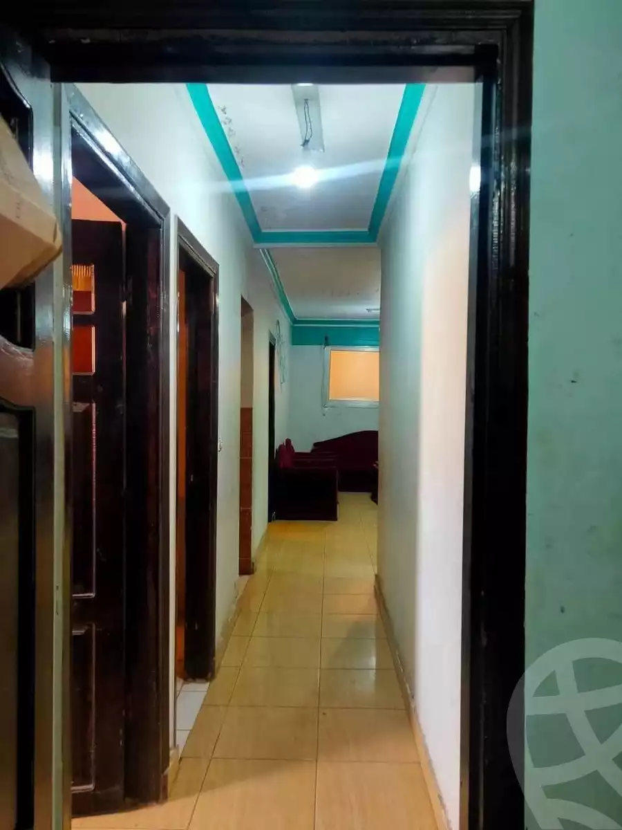 https://aqarmap.com.eg/en/listing/6352184-for-rent-alexandria-miami-khld-bn-lwlyd
