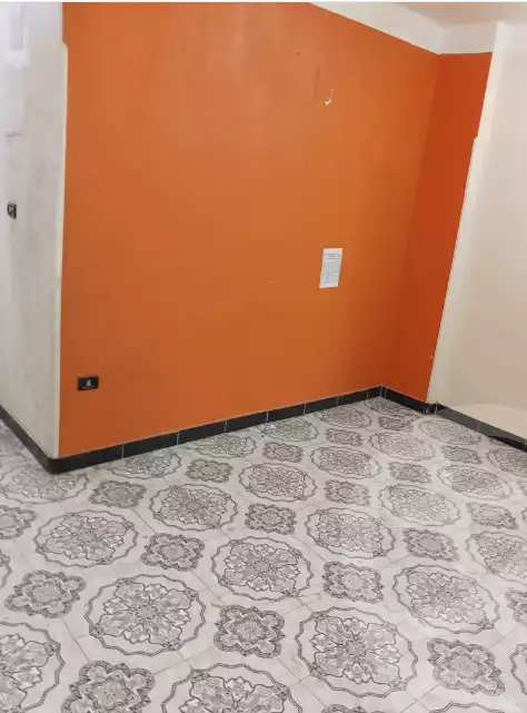 https://aqarmap.com.eg/en/listing/6352806-for-rent-luxor-luxor-city
