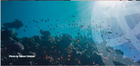 https://aqarmap.com.eg/ar/listing/6353881-for-sale-red-sea-hurghada-resorts-arc-of-soma-resort-soma-bay