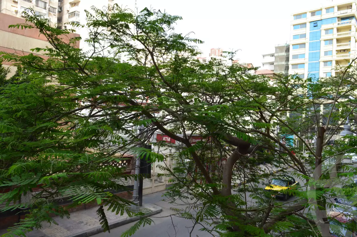 https://aqarmap.com.eg/ar/listing/6354968-for-sale-alexandria-roshdy-syria-st