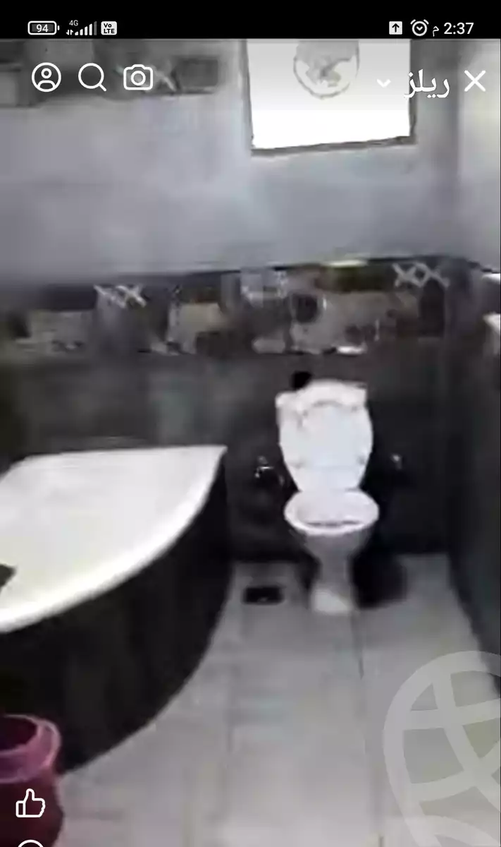 https://aqarmap.com.eg/en/listing/6356273-for-rent-alexandria-miami-khld-bn-lwlyd