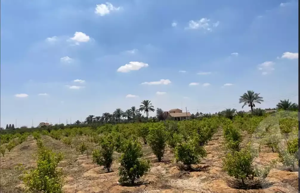 https://aqarmap.com.eg/en/listing/6362910-for-sale-ismailia-ismailia-city-ismailia-city