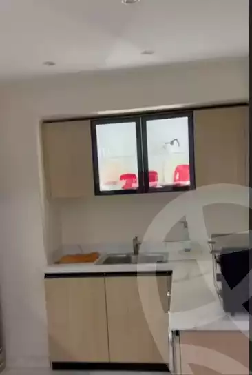 https://aqarmap.com.eg/ar/listing/6366297-for-rent-cairo-downtown