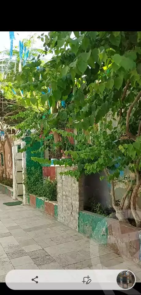 https://aqarmap.com.eg/en/listing/6367799-for-rent-cairo-helwan