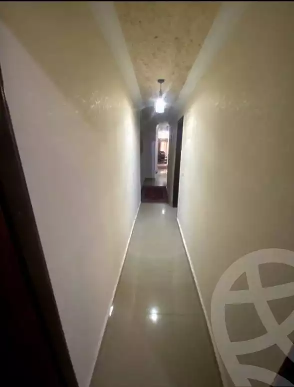 https://aqarmap.com.eg/en/listing/6368560-for-rent-alexandria-miami-khld-bn-lwlyd