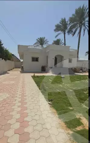 https://aqarmap.com.eg/ar/listing/6371898-for-sale-ismailia-ismailia-city-al-ismaileya-road-port-saeed-st