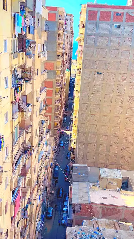 https://aqarmap.com.eg/ar/listing/6388477-for-rent-alexandria-sydy-bshr-sydy-bshr-bhry