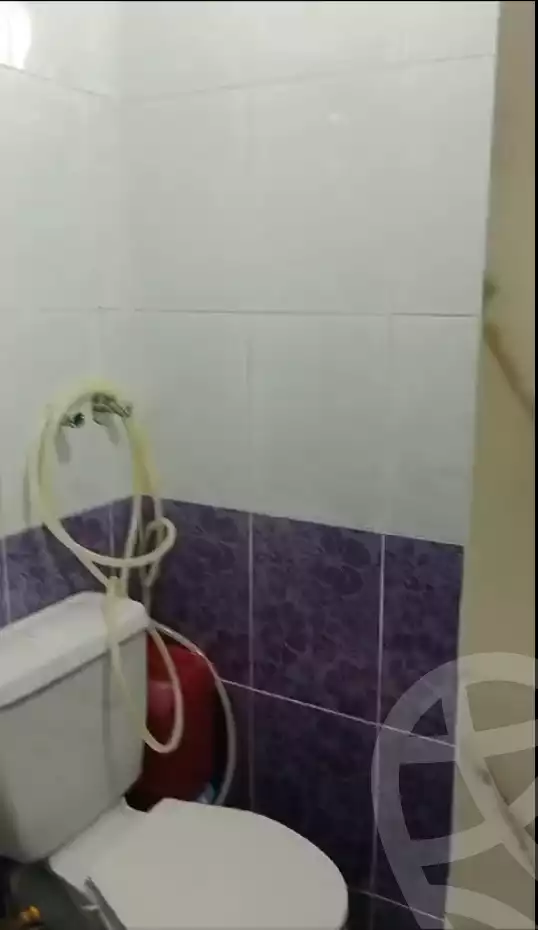 https://aqarmap.com.eg/en/listing/6397544-for-rent-qalyubia-shubra-el-khaima-om-bayoumi