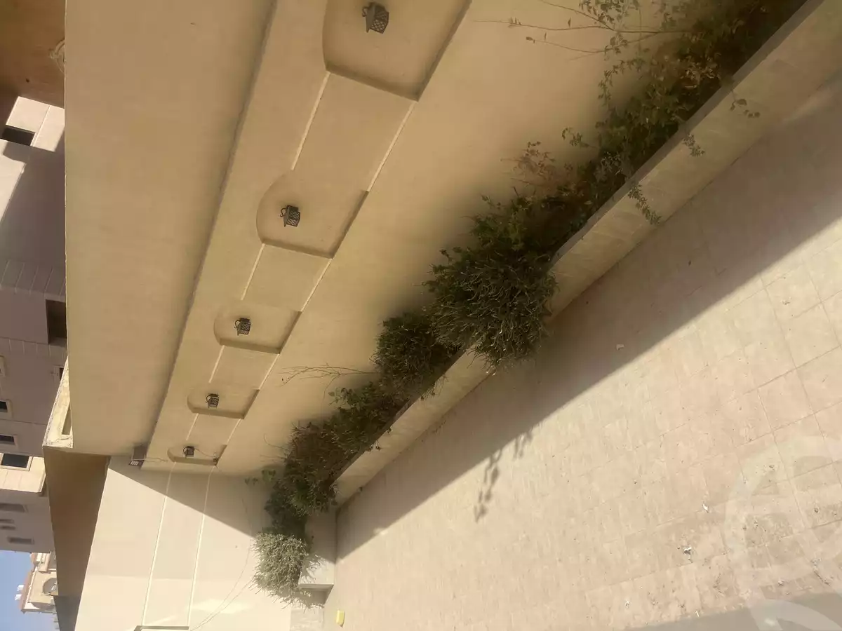 https://aqarmap.com.eg/en/listing/6406825-for-rent-cairo-new-cairo-tamr-hena-tamr-hena-1