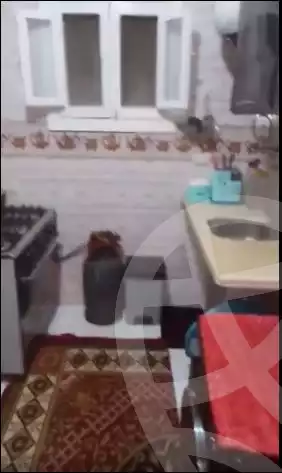 https://aqarmap.com.eg/en/listing/6408722-for-sale-qalyubia-el-khanka-saryaqus