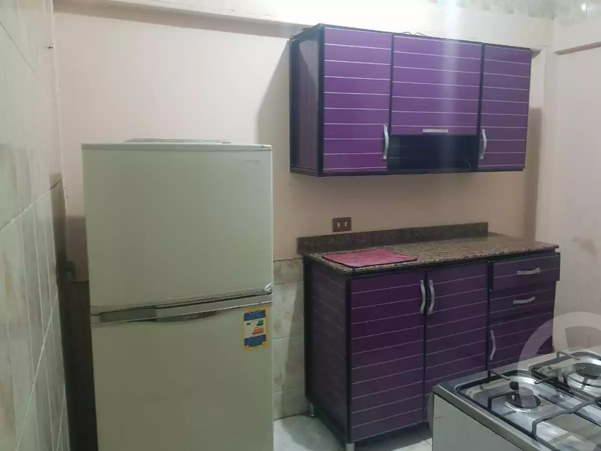 https://aqarmap.com.eg/en/listing/6422346-for-rent-cairo-manial-el-rawda-st
