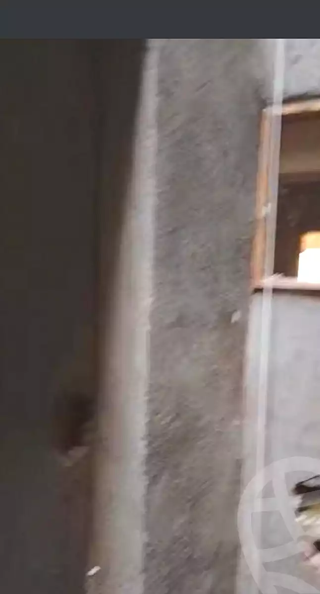 https://aqarmap.com.eg/en/listing/6438264-for-sale-cairo-nozha-2-el-khamseen-st
