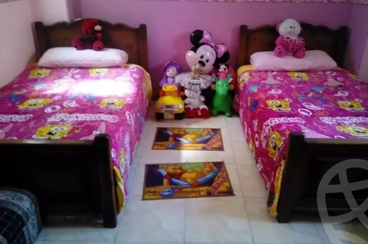 https://aqarmap.com.eg/en/listing/6444806-for-sale-cairo-ain-shams-ahmed-esmat-st