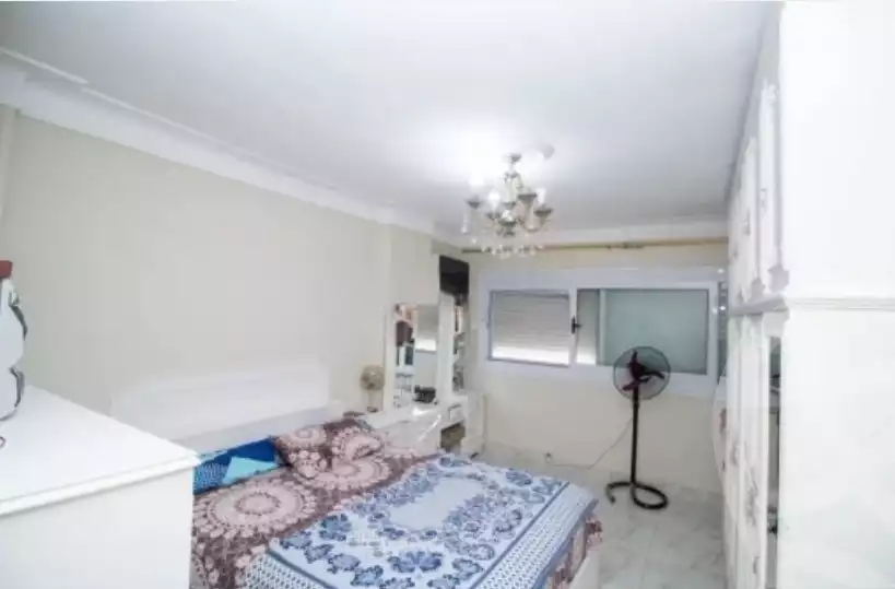 https://aqarmap.com.eg/en/listing/6453693-for-sale-alexandria-ganaklis
