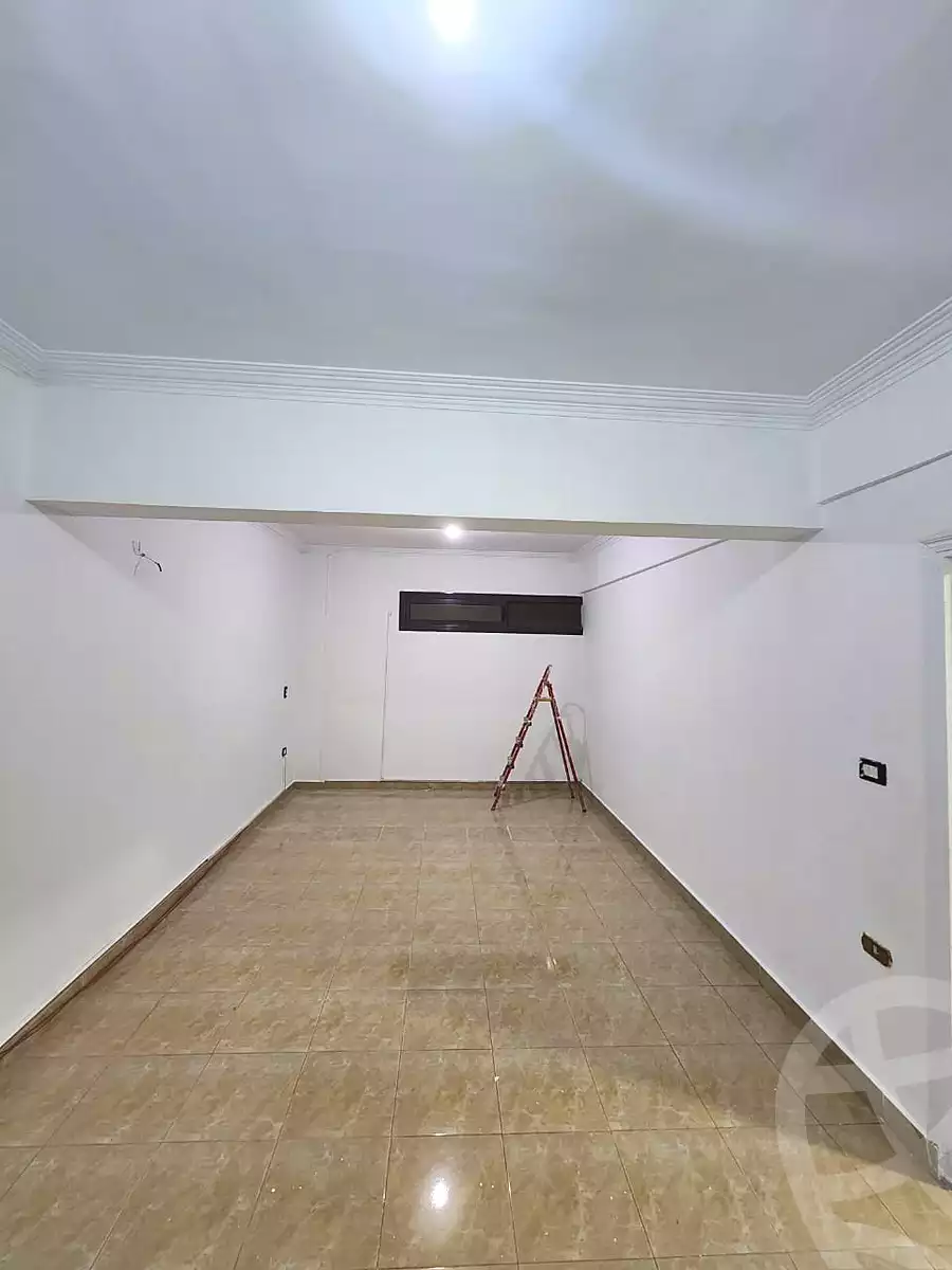 https://aqarmap.com.eg/en/listing/6454478-for-rent-cairo-new-cairo-90th-street-northern-90th-street