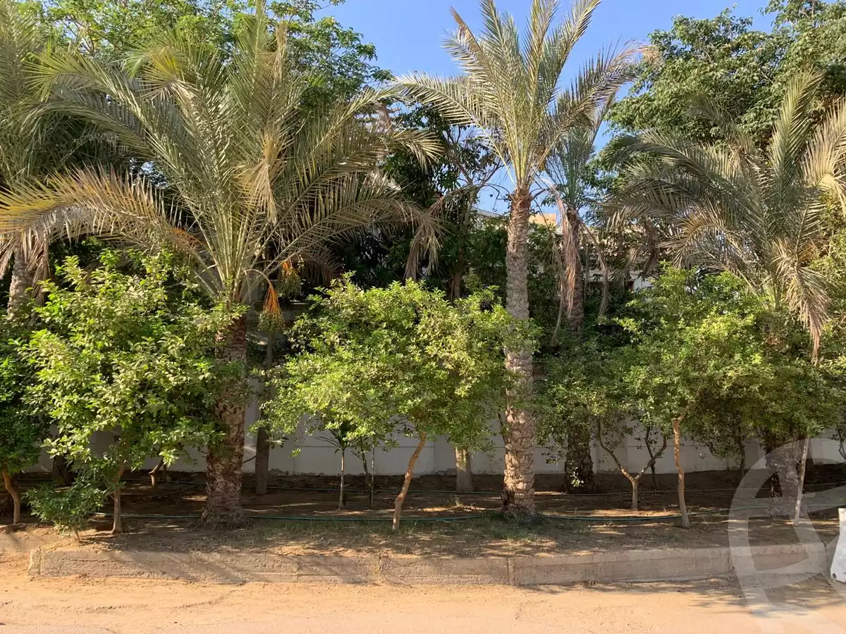 https://aqarmap.com.eg/en/listing/6457482-for-sale-cairo-new-cairo-ganob-el-akadamiya-south-academy-g-lotfy-hassona-st