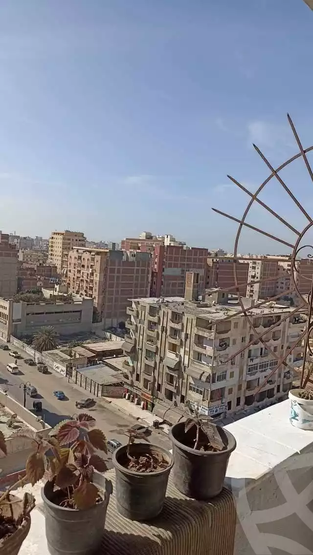 https://aqarmap.com.eg/en/listing/6458603-for-sale-alexandria-l-jmy-bw-ywsf