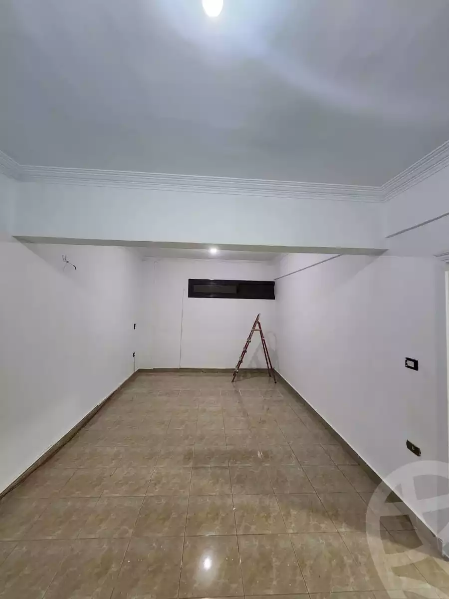 https://aqarmap.com.eg/en/listing/6476512-for-rent-cairo-new-cairo-90th-street-northern-90th-street