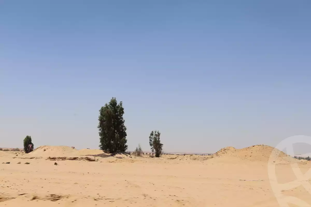 https://aqarmap.com.eg/en/listing/6479820-for-sale-cairo-6th-of-october-green-belt-wadi-el-nile