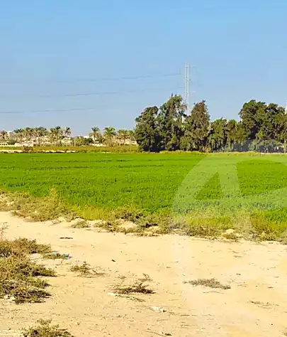 https://aqarmap.com.eg/ar/listing/6493478-for-sale-alexandria-el-amreya