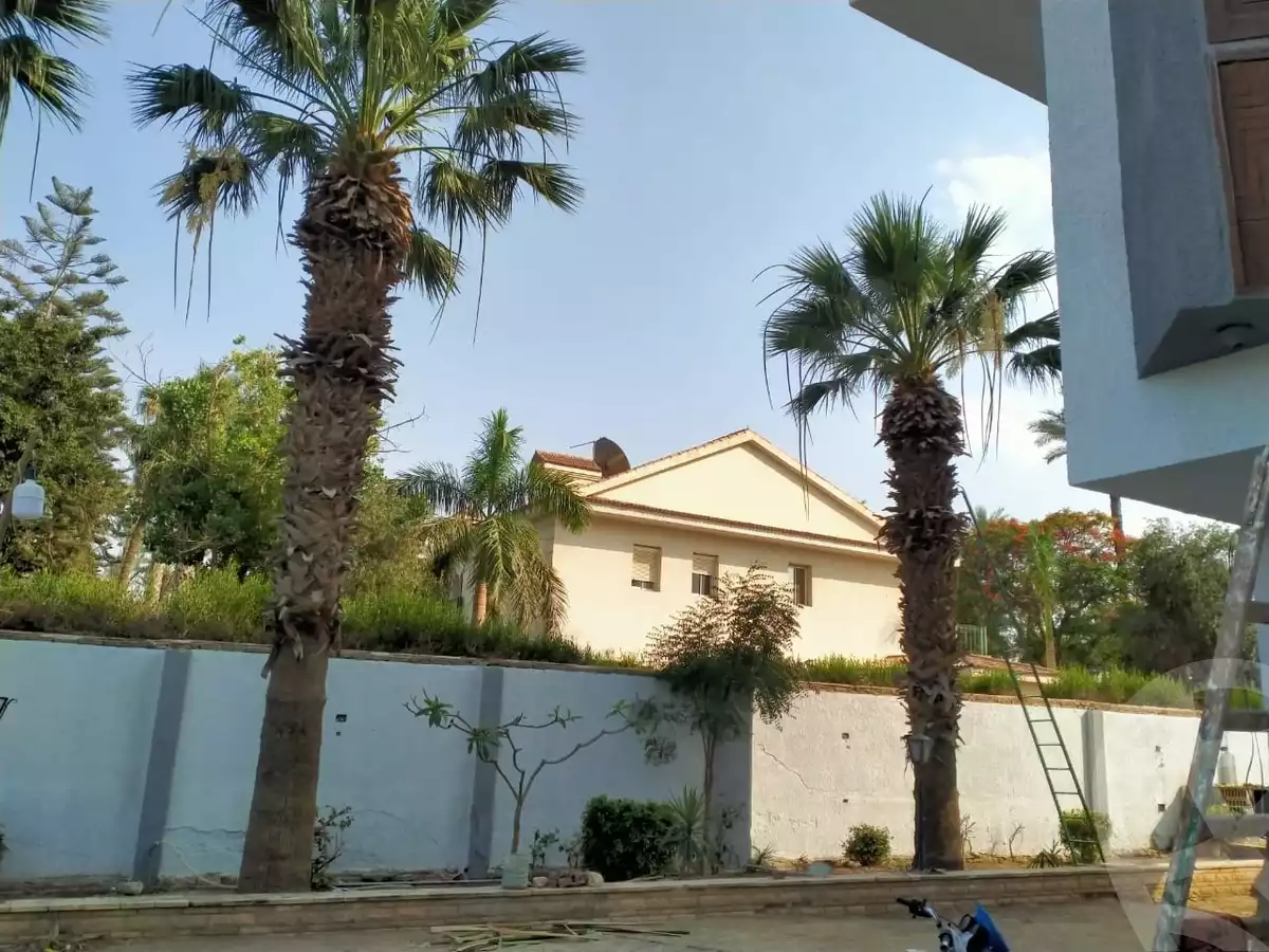 https://aqarmap.com.eg/en/listing/6497191-for-sale-cairo-el-mansuriyyah-el-saliba