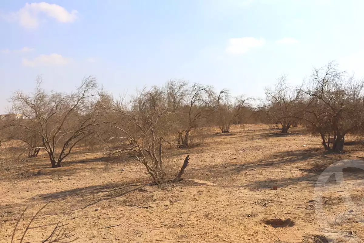 https://aqarmap.com.eg/en/listing/6516635-for-sale-cairo-el-sheikh-zayed-city-green-revolution