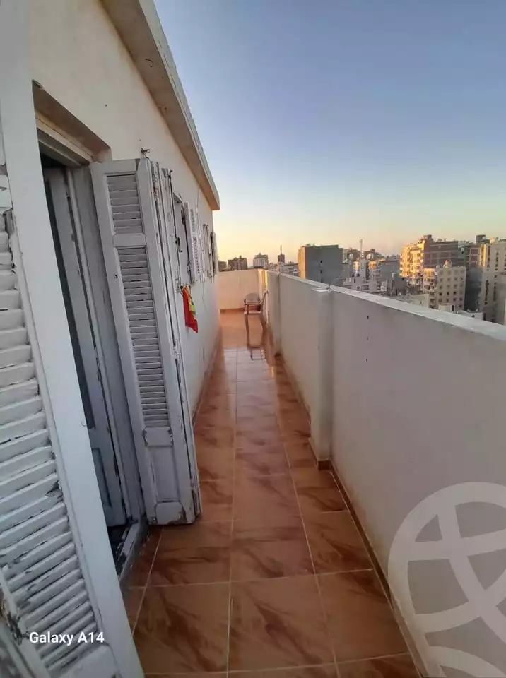 https://aqarmap.com.eg/en/listing/6526737-for-sale-alexandria-el-asafra-l-sfr-qbly