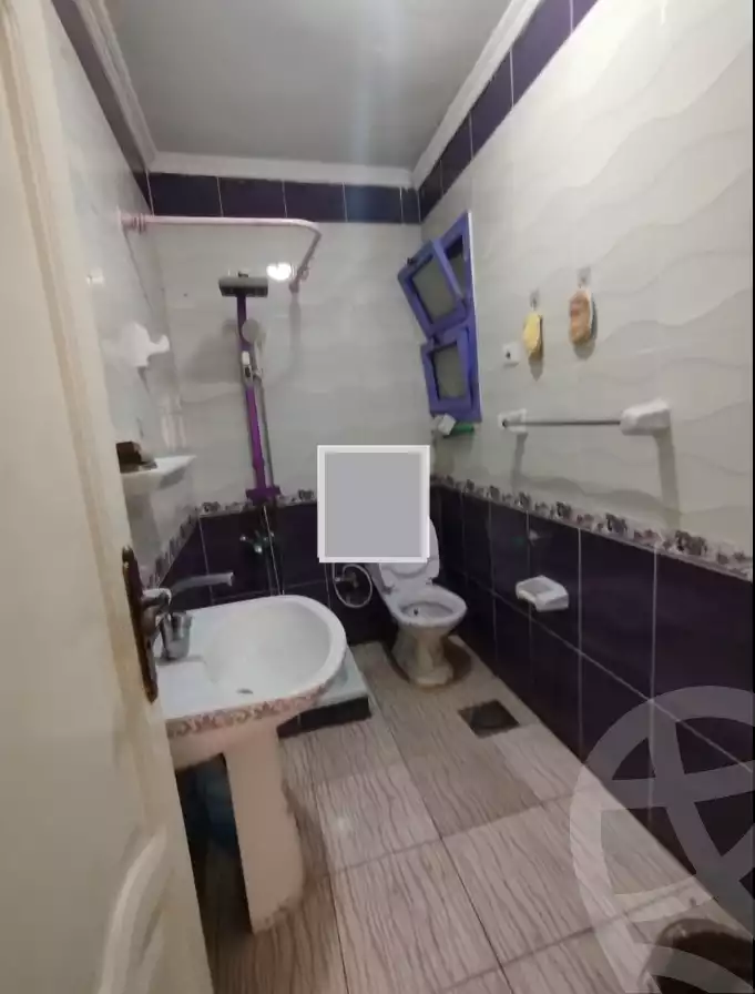 https://aqarmap.com.eg/en/listing/6529598-for-sale-alexandria-l-jmy-lbytsh-al-aeda-al-kadema-st