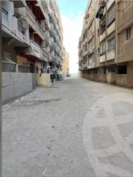https://aqarmap.com.eg/en/listing/6554340-for-sale-alexandria-l-jmy-el-hanouvel