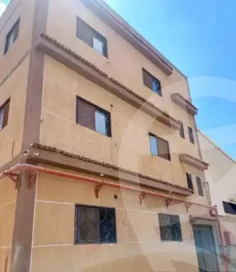 https://aqarmap.com.eg/en/listing/6554870-for-rent-sharqia-lslhy-ljdyd