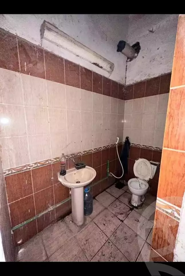 https://aqarmap.com.eg/en/listing/6559354-for-sale-alexandria-lsywf