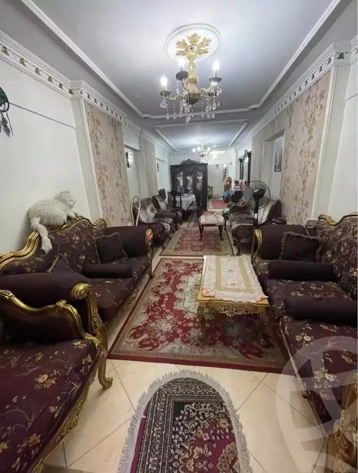 https://aqarmap.com.eg/en/listing/6559540-for-sale-alexandria-lsywf