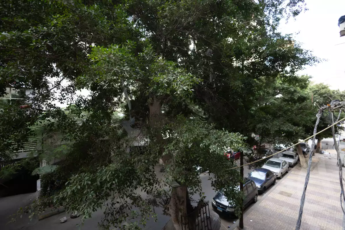 https://aqarmap.com.eg/en/listing/6569736-for-sale-alexandria-mostafa-kamel-area