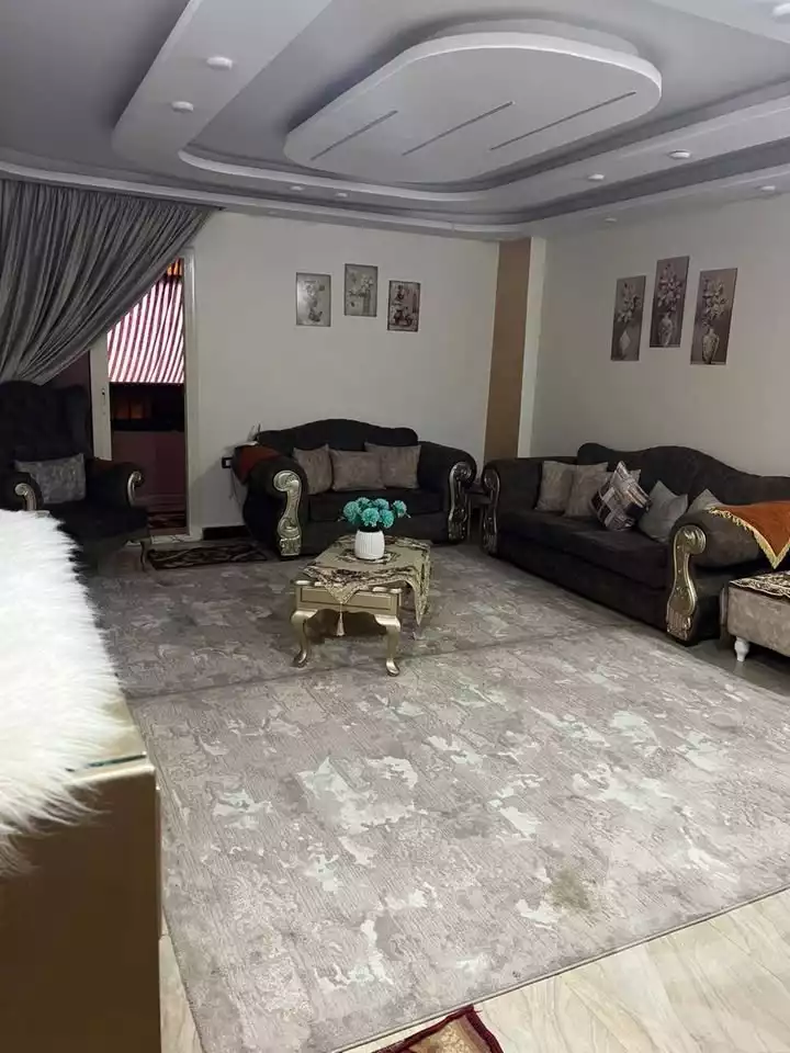 https://aqarmap.com.eg/en/listing/6571703-for-sale-cairo-faisal-el-maryotyah
