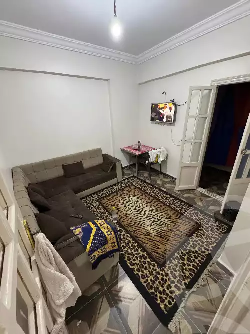 https://aqarmap.com.eg/ar/listing/6573494-for-rent-alexandria-miami-iskandar-ibrahim-st