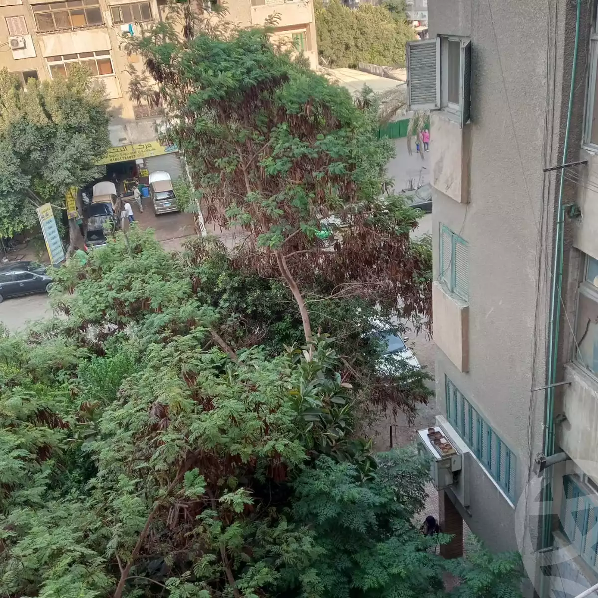 https://aqarmap.com.eg/ar/listing/6575627-for-sale-cairo-nasr-city-hay-el-sefarat-sifarat-st