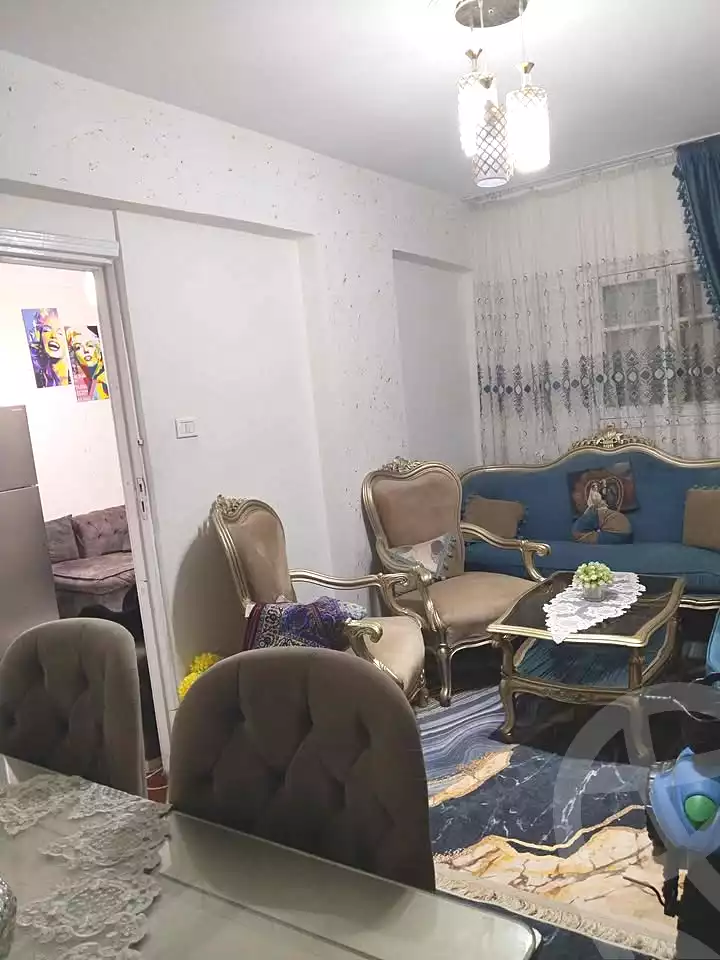 https://aqarmap.com.eg/ar/listing/6587101-for-sale-alexandria-el-asafra-shr-45